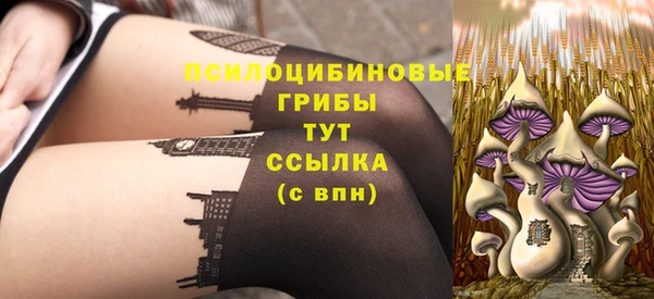 а пвп мука Алзамай