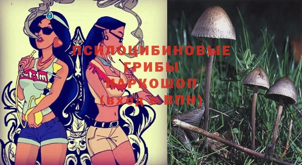 прущие грибы Алексин
