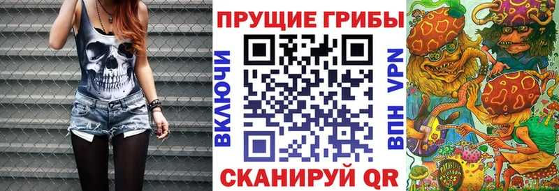 Псилоцибиновые грибы Psilocybe  Дзержинский 