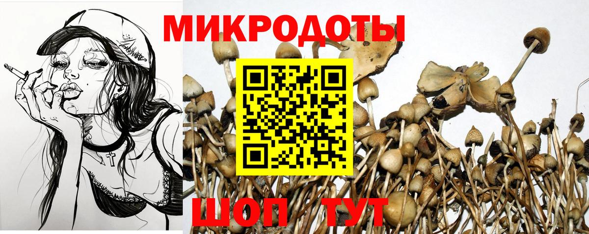 Галлюциногенные грибы Magic Shrooms Дзержинский