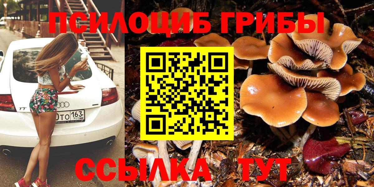 Дзержинский  Псилоцибиновые грибы мицелий  Вход с VPN 
